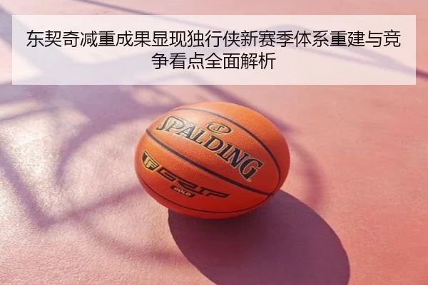 东契奇减重成果显现独行侠新赛季体系重建与竞争看点全面解析