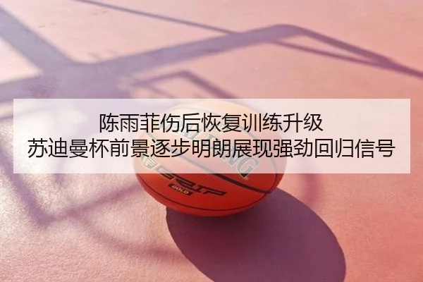 陈雨菲伤后恢复训练升级 苏迪曼杯前景逐步明朗展现强劲回归信号